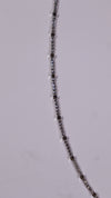 (Pair) Starlit Silver Anklet