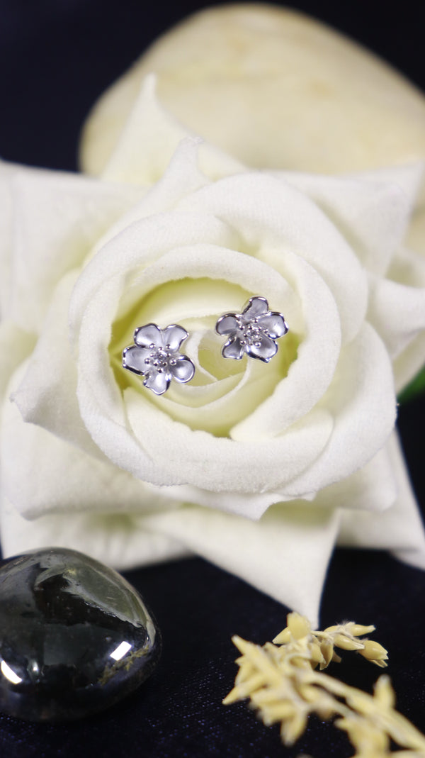 Petals & Promises 92.5 Silver Combo